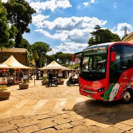 Neapel: Hin- und Rückfahrt mit dem Shuttle-Bus nach Pompeji