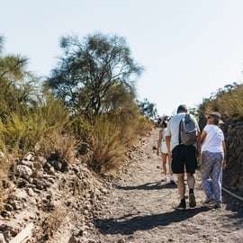Ab Neapel: All-Inclusive-Halbtagestour zum Vesuv
