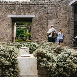 Ganztagestour nach Pompeji, Herculaneum und zum Vesuv