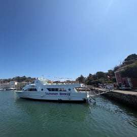 Ischia Inselrundfahrt mit dem Boot und Halt in Sant'Angelo