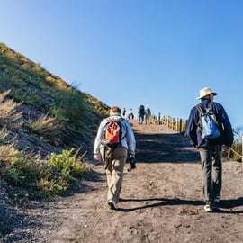 Von Pompei aus: Vesuvius Easy Tour Transfer