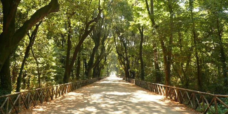 Capodimonte-Park