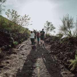 Ausflug nach Pompeji und zum Vesuv von Neapel aus
