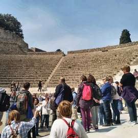 Ab Neapel: Pompeji & Vesuv Smart-Tour mit Tickets