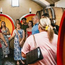 Ab Neapel: Weinprobe an den Hängen des Vesuvs mit Mittagessen