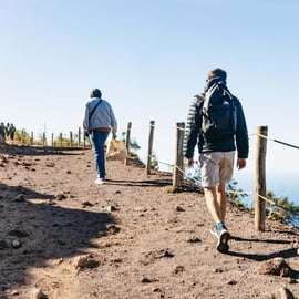 Von Neapel aus: Vesuv Easy Tour