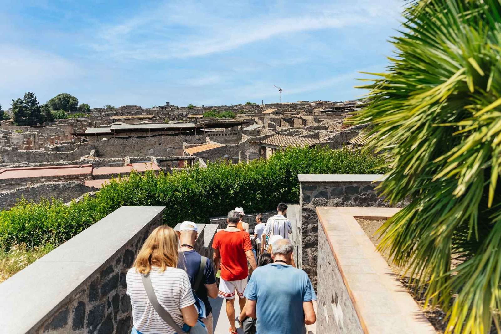 Pompeji und Vesuv Tagestour ab Neapel mit Pizza und Krater