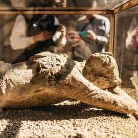 Pompeji: Rollstuhlgerechte private Tour mit einem Guide