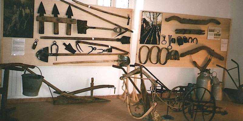 Landwirtschaftliches Museum "Masseria Luce"