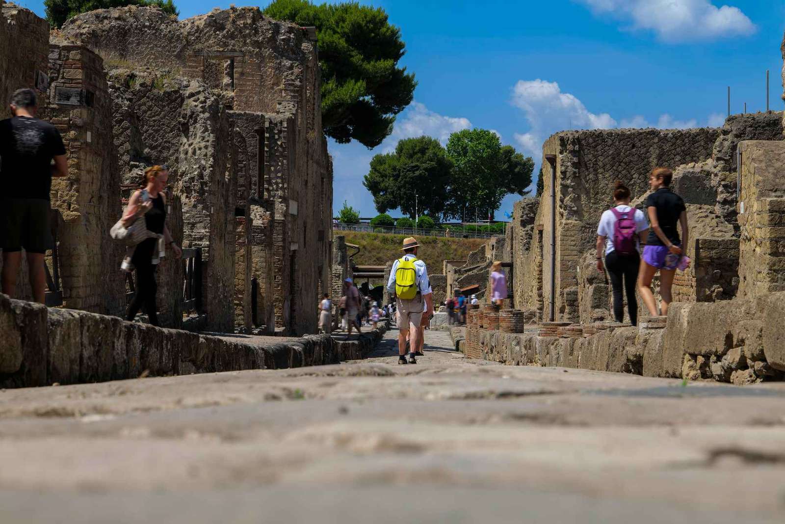 Entdecke Herculaneum: Führung auf Französisch durch die antike römische Stadt