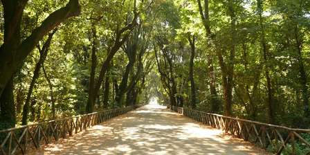 Capodimonte-Park