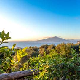 SORRENTO: Limoncello bei Sonnenuntergang nach dem Essen herstellen