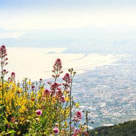 Pompeji: Vesuv Park Ticket und Transfer