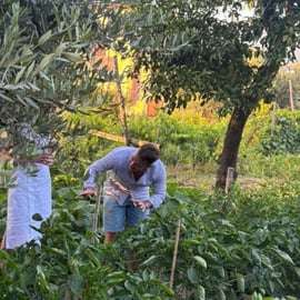 Kochkurs in Sorrent im Zitronengarten mit O' Masto