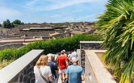 Von Neapel aus: Ruinen von Pompeji und Vesuv Tagestour
