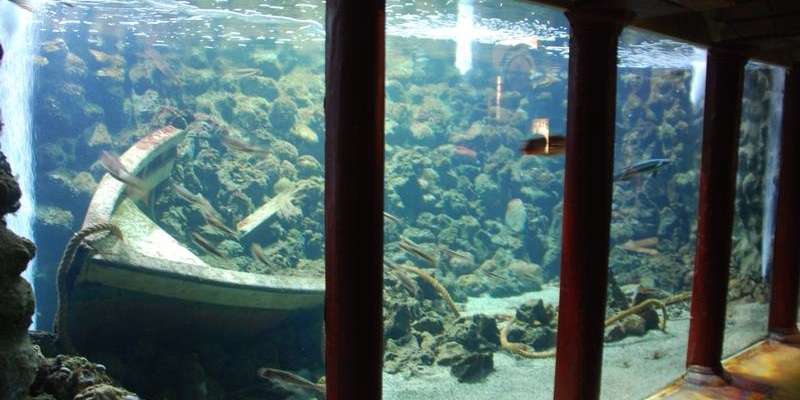 Aquarium Neapel – Zoologische Station Anton Dohrn